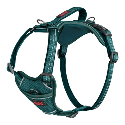 Halti Anatomy Dog Harness Teal (L)