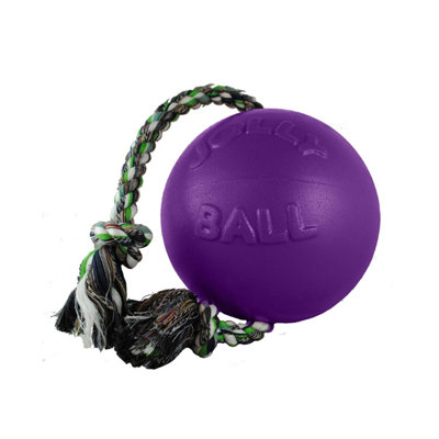 Jolly Pets Romp-N-Roll Dog Ball Purple (8In) from B&Q