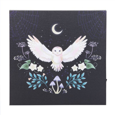  - Something Different Night Owl Light Up Canvas Multicoloured (One Size)