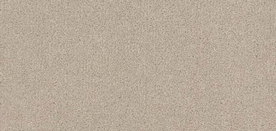 Furlong Flooring Renaissance Luxury Carpet (Ammonite4M X 4M) from B&Q