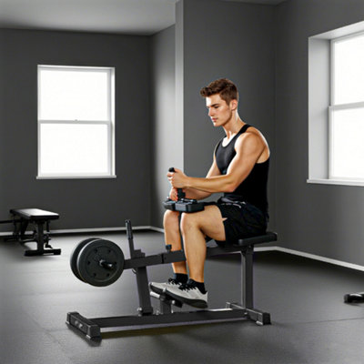 Sportnow Seated Adjustable Leg Extension Machine With Plate Loaded - Image 8