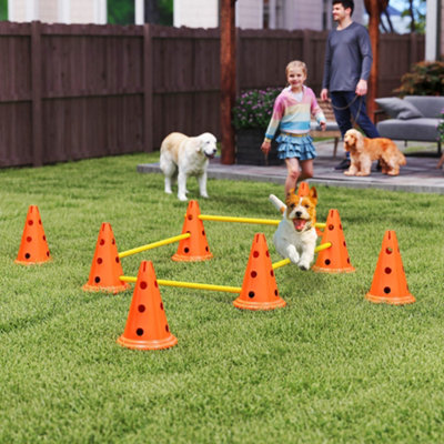 B&Q -  Dog Agility Equipment SetFour-Piece Adjustable Height Jumping