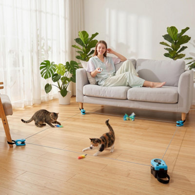 Pawhut Automatic & Remote Control Interactive Cat Toy Diy Track Mouse Sound from B&Q