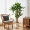 Found it product image.