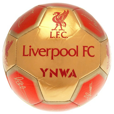 Liverpool Fc Signature 26 Panel Football Red (5) from B&Q