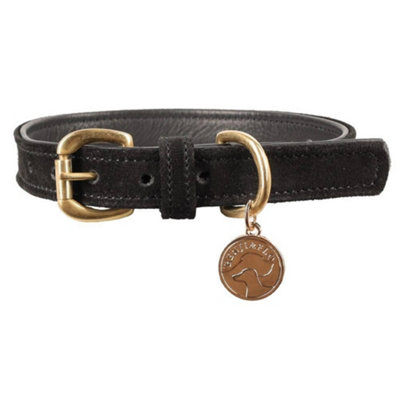 Benji & Flo Noble Suede Dog Collar Black/gold (Xl) from B&Q