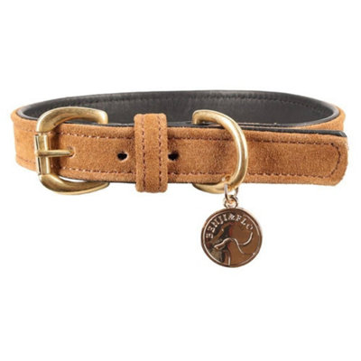 Benji & Flo Noble Suede Dog Collar Tan/gold (Xl) from B&Q