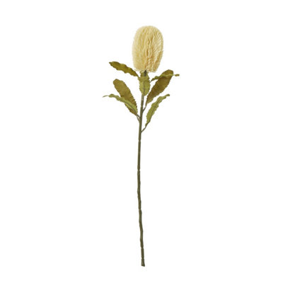 B&Q -  Banksia Serrata Artificial Flower Cream (One Size)
