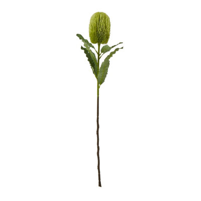 B&Q -  Banksia Serrata Artificial Flower Green (One Size)