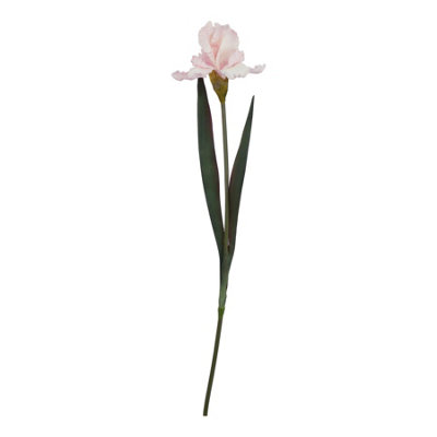 B&Q -  The Natural Garden Collection Fringed Iris Artificial Flower Pale Pink (One Size)