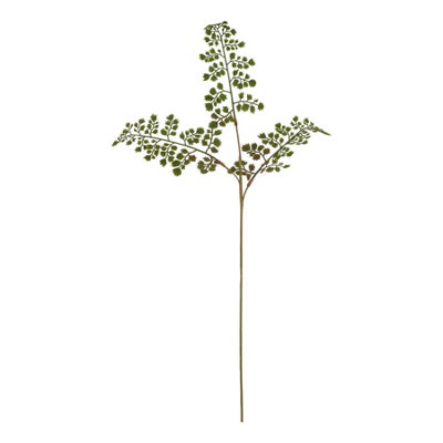 B&Q -  The Natural Garden Collection Maidenhair Fern Artificial Flower Green (One Size)