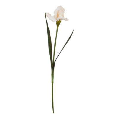 B&Q -  The Natural Garden Collection Fringed Iris Artificial Flower Pale Apricot (One Size)