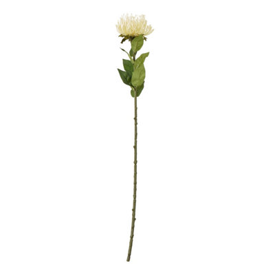 B&Q -  Protea Lorea Stem Artificial Plant Cream (One Size)
