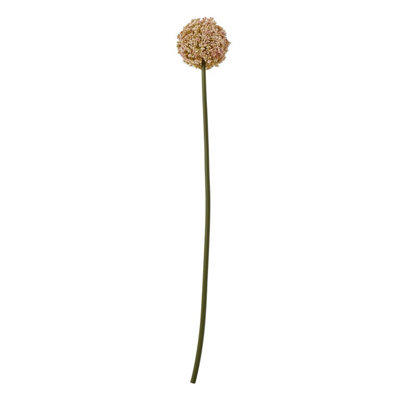 Hill Interiors Allium Stem Artificial Plant Pink (75Cm) from B&Q