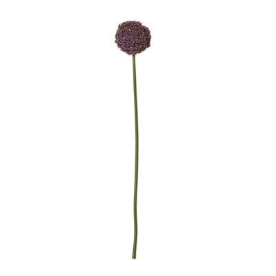Hill Interiors Allium Stem Artificial Plant Purple (75Cm) from B&Q