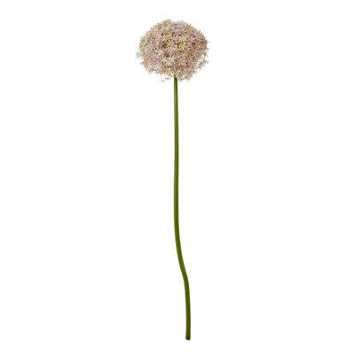 Hill Interiors Allium Stem Artificial Plant Lilac (80Cm) from B&Q