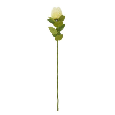 Hill Interiors Banksia Stem Artificial Plant (One Size) Cream