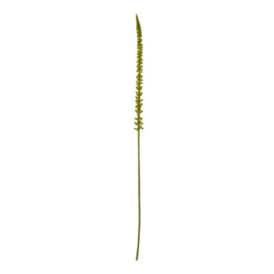 B&Q -  Eremurus Stem Artificial Plant Green (One Size)