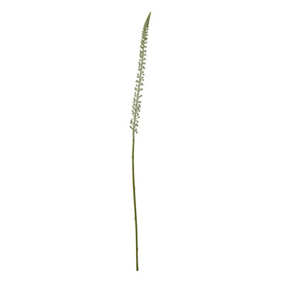 B&Q -  Eremurus Stem Artificial Plant White (One Size)