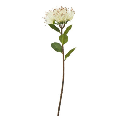 B&Q -  Protea Nitida Stem Artificial Plant Cream (One Size)