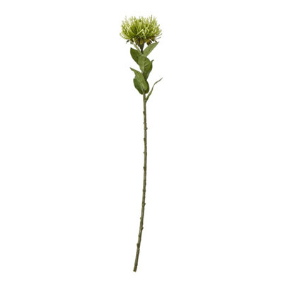 B&Q -  Protea Lorea Stem Artificial Plant Green (One Size)