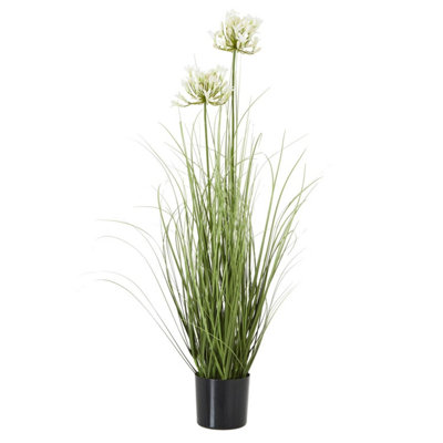 B&Q -  Agapanthus Plant Pot White/green (One Size)