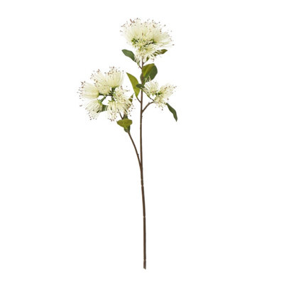 B&Q -  Protea Nitida Stem Artificial Flower Spray Cream (One Size)