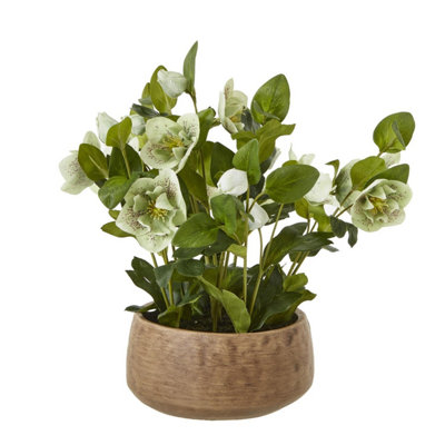 B&Q -  Hellebore Artificial Potted Plant Green/taupe (85Cm X 52Cm X 52Cm)