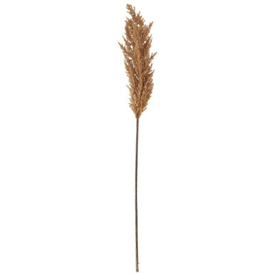 B&Q -  Dried Pampas Gr Artificial Flower Taupe (One Size)