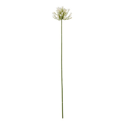 Hill Interiors Agapanthus Artificial Flower Spray Cream (One Size) from B&Q