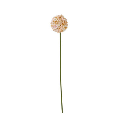 Hill Interiors The Natural Garden Collection Allium Artificial Flower Apricot/white (One Size) from B&Q