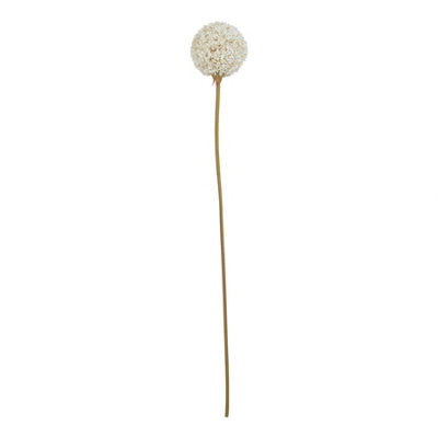 B&Q -  The Natural Garden Collection Allium Artificial Flower White (One Size)
