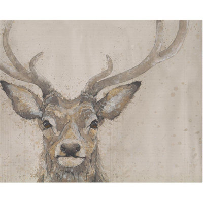 Bev Davies Serene Majesty Canvas Print Beige (50Cm X 40Cm) from B&Q