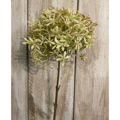 B&Q -  Allium Stem Artificial Flower Green/beige (One Size)