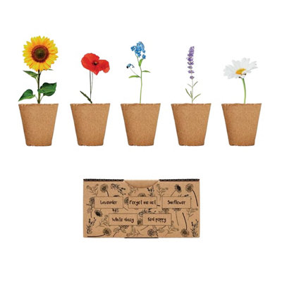 Midocean Flowers Flower Seeds Beige (One Size) from B&Q