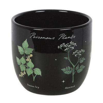 B&Q Black Something Different Poisonous Plants Plant Pot (One Size)