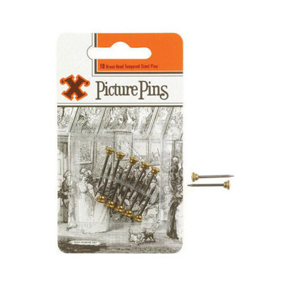 X Br Head Picture Pins 10Pk One Colour (One Size) from B&Q