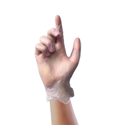 Disposable Vinyl Glove Powder Free Clear Medium 100Pk One Colour (One Size) from B&Q