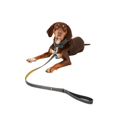 Rosewood Joules Leather Dog Lead Navy (L) from B&Q