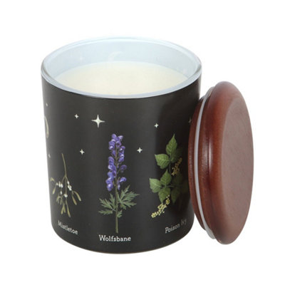Something Different Unisex Black Deadly Nightshade Scented Candle In - Image 3
