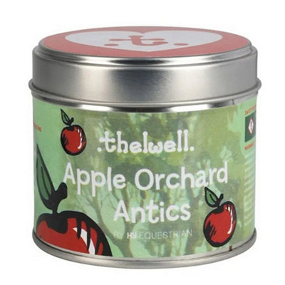 Thelwell Apple Spice Scented Candle Spice (190G) from B&Q