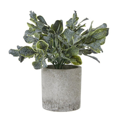 Hill Interiors Green Giana Eucalyptus Artificial Plant (20Cm) 20Cm