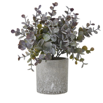 Hill Interiors Green Eucalyptus Cinerea Artificial Plant - / - 22Cm - / - 100% Mixed - Image 6