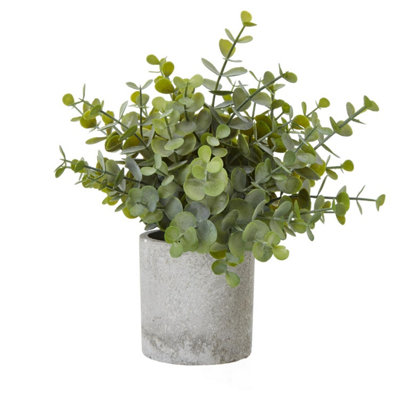 Hill Interiors Green Button Eucalyptus Artificial Plant - 22Cm - 100% Mixed - Image 6