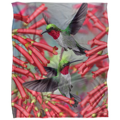 Royce Mcclure Silky Hummingbird Supersoft Blanket Multicoloured (152Cm X 127Cm) from B&Q