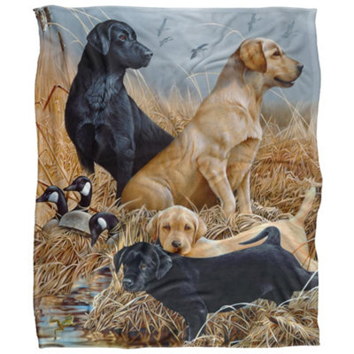 Jq Licensing Jg-Jp Silky Labrador Hunting Supersoft Blanket Multicoloured/multicoloured (One SizeOne Size) from B&Q