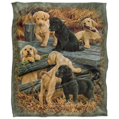 Jq Licensing Silky Labrador Puppies Supersoft Blanket Multicoloured (One Size) from B&Q