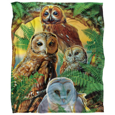 Jq Licensing Silky Owl Supersoft Blanket Multicoloured (152Cm X 127Cm) from B&Q
