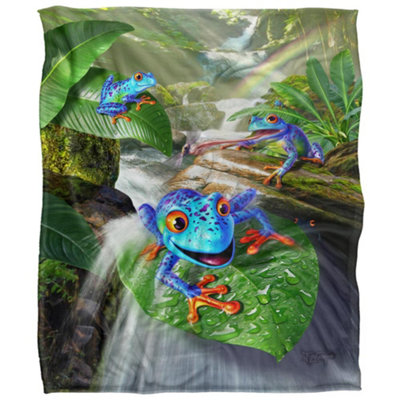 Jq Licensing Jlo Silky Frog Supersoft Blanket Multicoloured (One Size) from B&Q