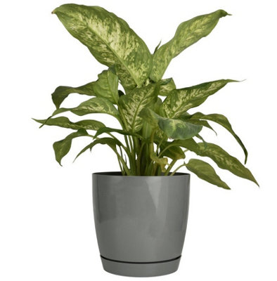 B2C Gloss Flowerpot Planter Pot With Saucer Plastic Modern Pre Drilled Round Tray 4.4L (D19Cm H18.5Cm) Concrete from B&Q